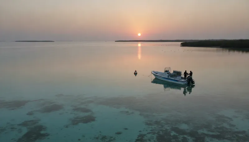 Florida diving. Backdrop for the Diving Hubs Florida dive shop directory