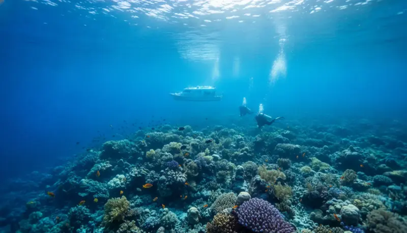 Best Time to Dive the Great Barrier Reef: Visibility and Seasonal Guide
