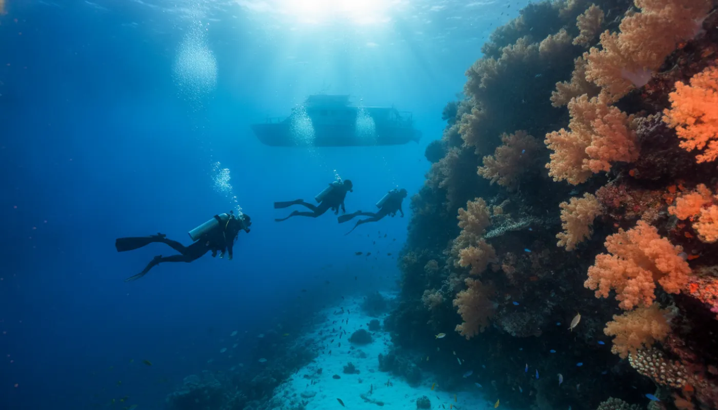 Divers hanging weightless in blue water alongside a steep coral wall draped in orange soft corals, all facing the same direction as the current carries them past