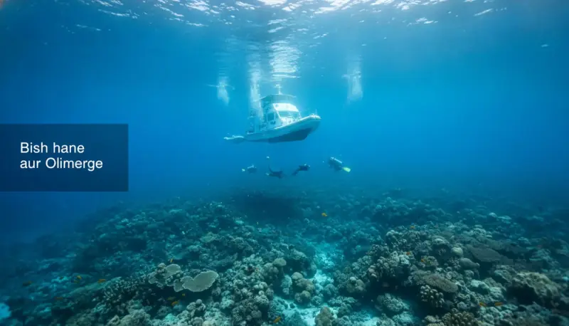 PADI vs SSI Certification: Which Agency Is Right for Your Dive Career?