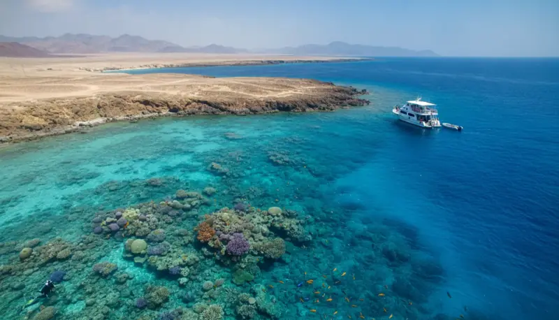 Red Sea Liveaboard vs Shore Diving: How to Choose